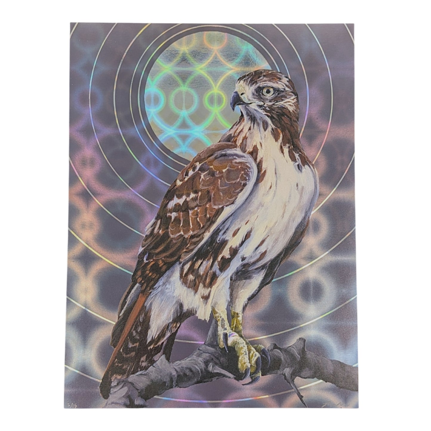 Ricker "Peggy-O (Circular Wonder)" Print