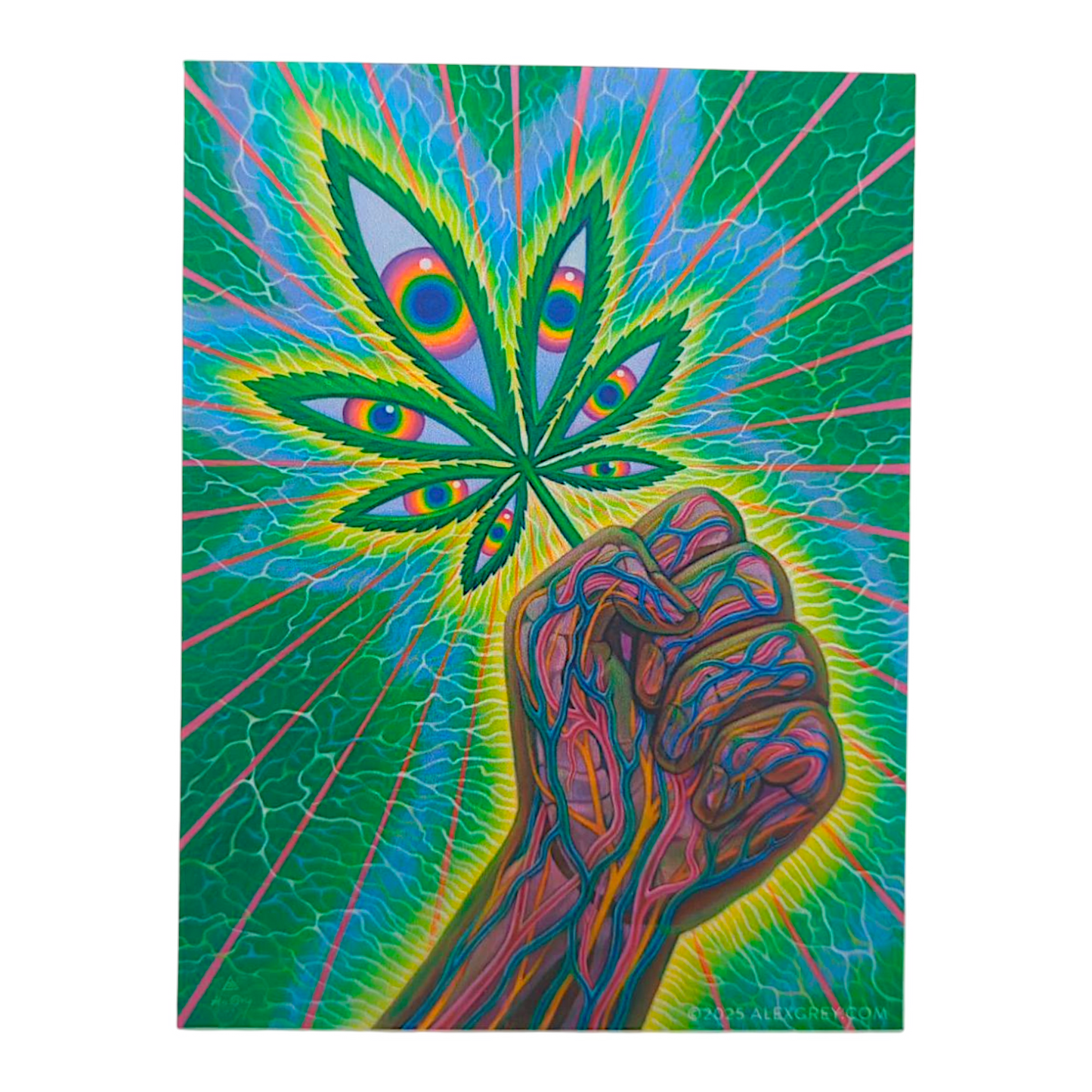 Alex Grey Cannafist Sticker
3.5 x 4.75" vinyl sticker