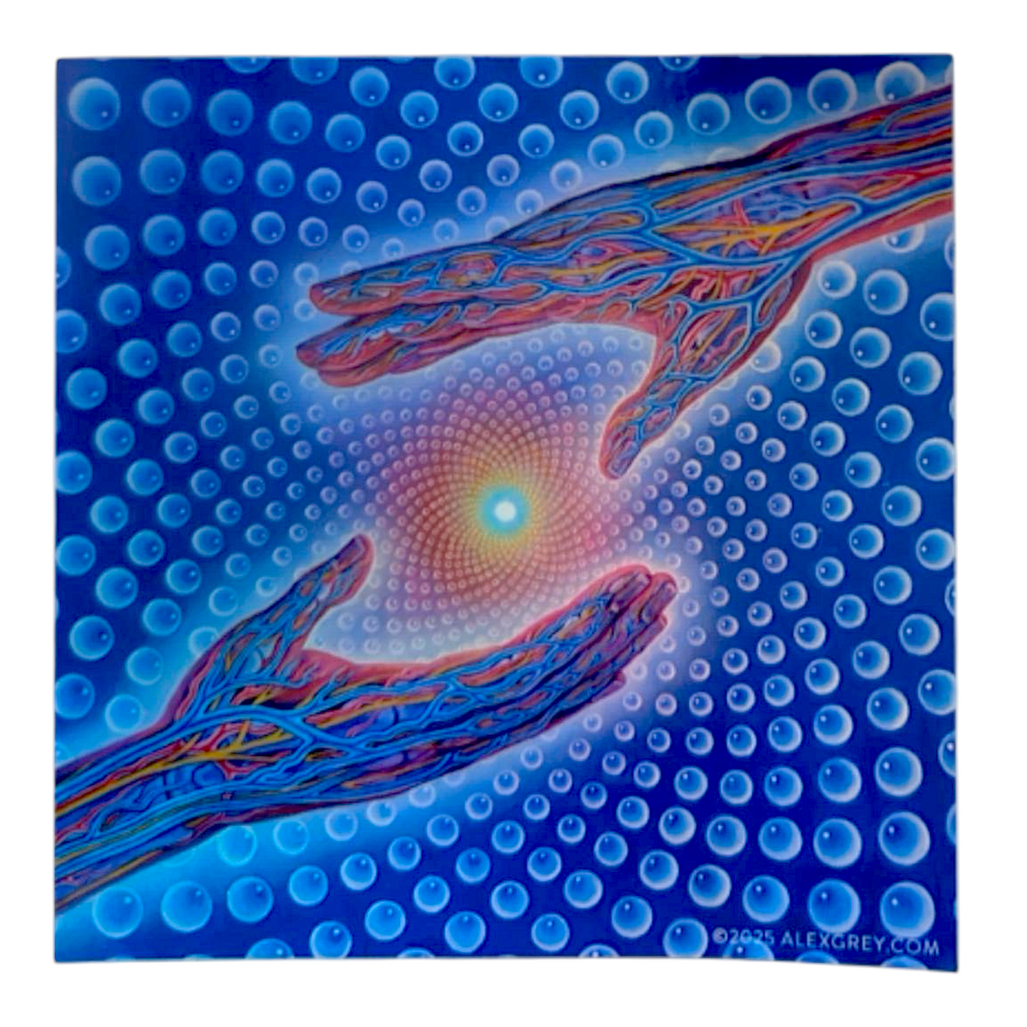 Alex Grey Psychedelic Healing Holographic Sticker