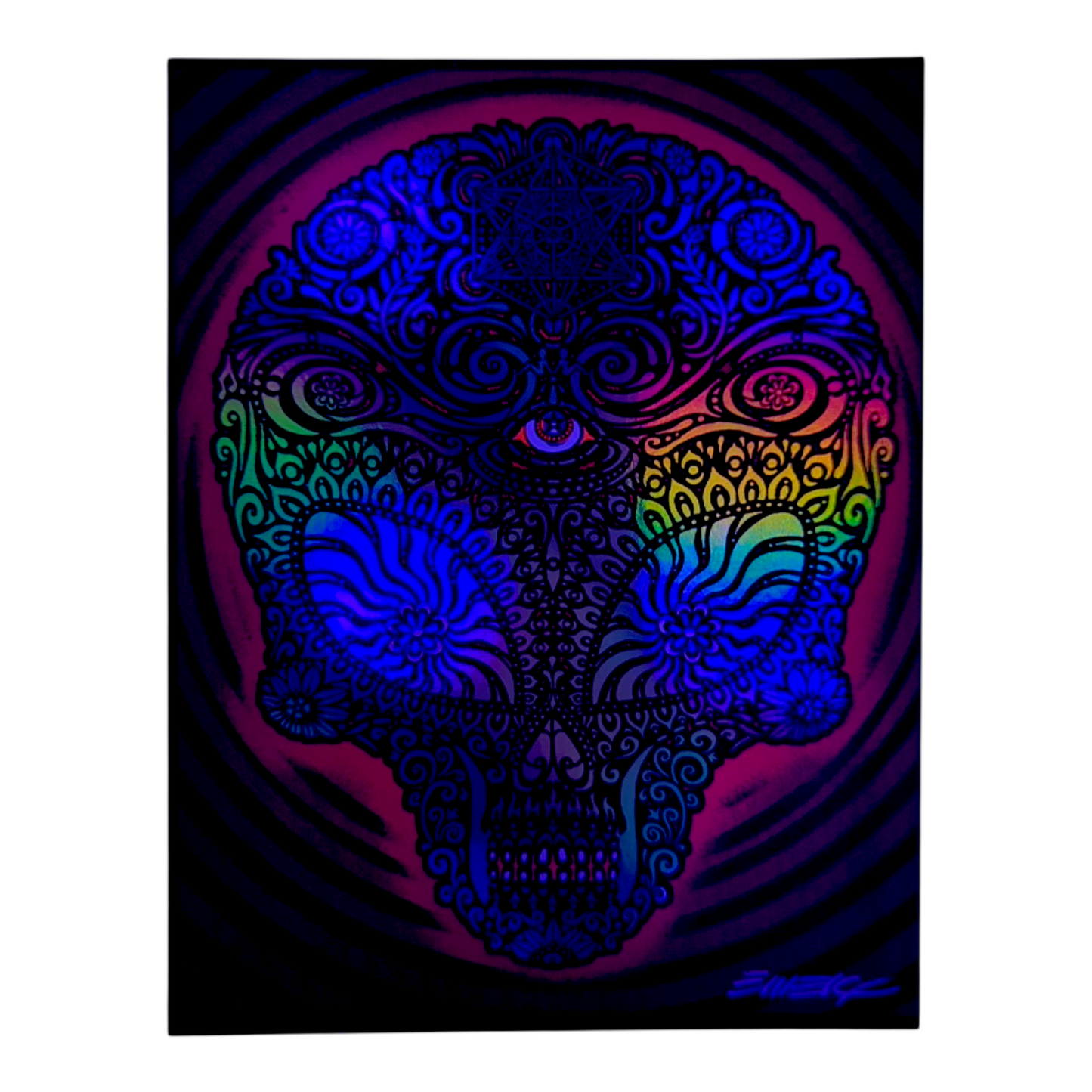 Emek
Alien Skull
Gicleé Print on Archival Paper with Straight Cut Edges
5.25 x 6.75 in
Hand signed by the artist