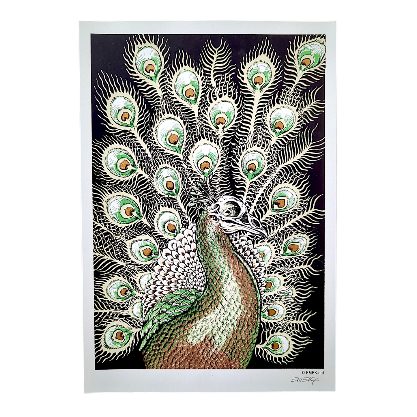 Emek
Peacock, 2005
Screen Print on Archival Paper with Straight Cut Edges
8 x 11.75 in
Hand Signed by the artist