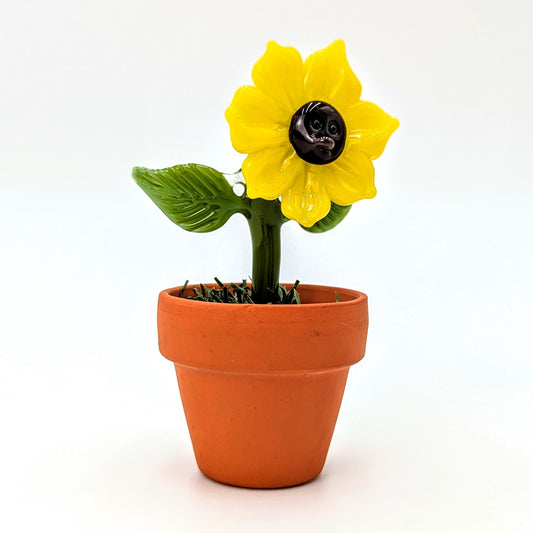 Ethan Windy
Suzie, 2024
Glass Sculpture
Approx. 47 mm diameter | 95 mm tall
Signed + Dated by the artist. From Ethan Windy's Giant Flowers Series