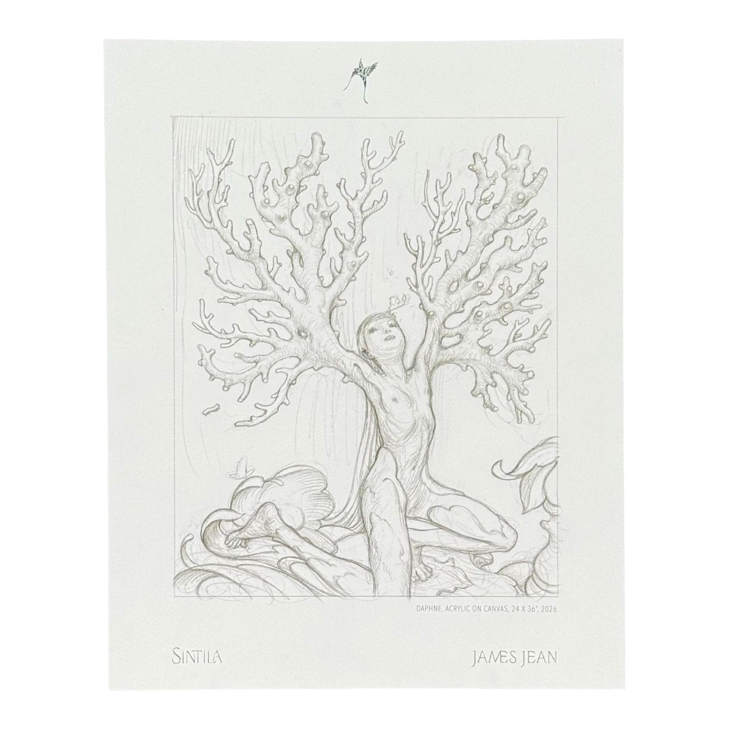 James Jean "Daphne" Postcard