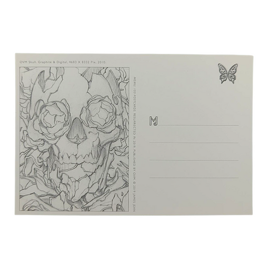 James Jean "OVM Skull" Postcard