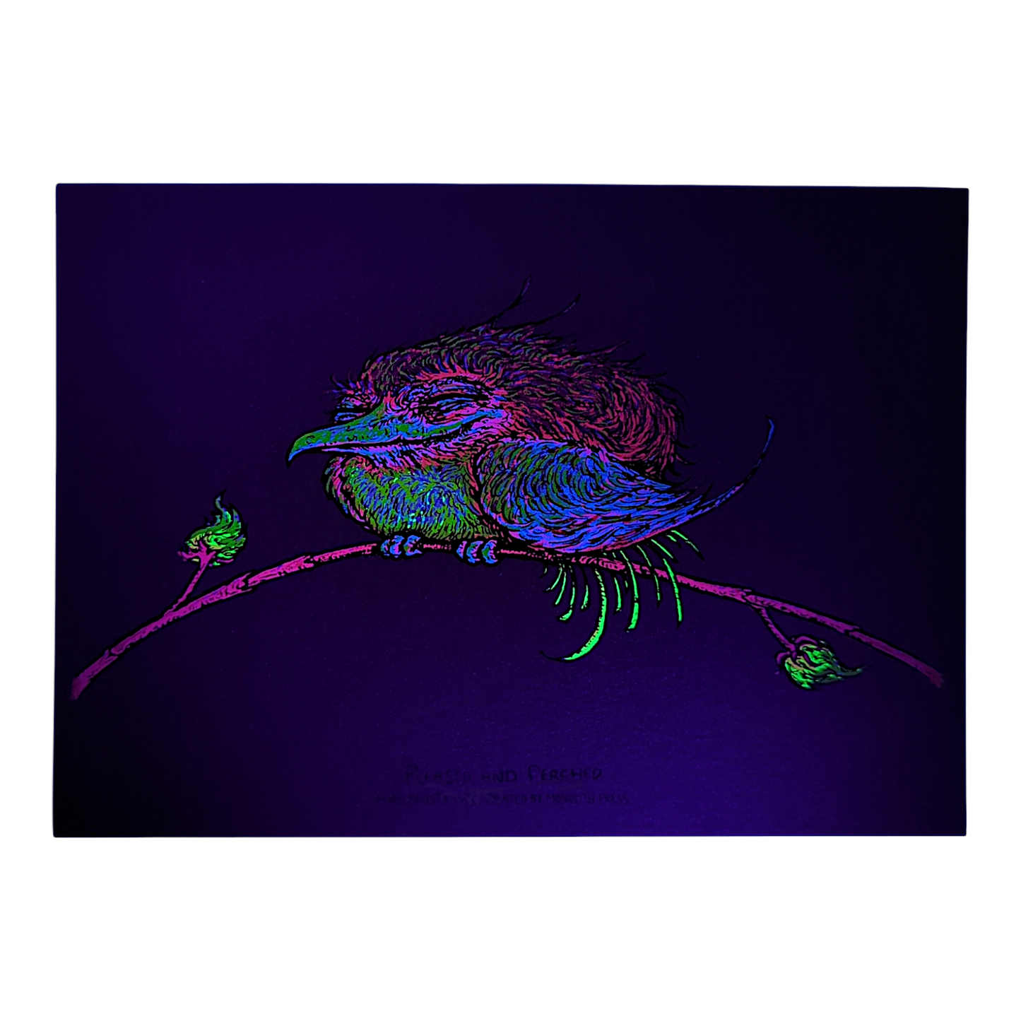 Marq Spusta
Pleased and Perched (Magma), 2023
Screen print
7 x 5 in
Signed by the artist