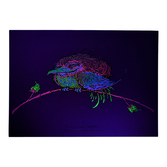 Marq Spusta
Pleased and Perched (Magma), 2023
Screen print
7 x 5 in
Signed by the artist