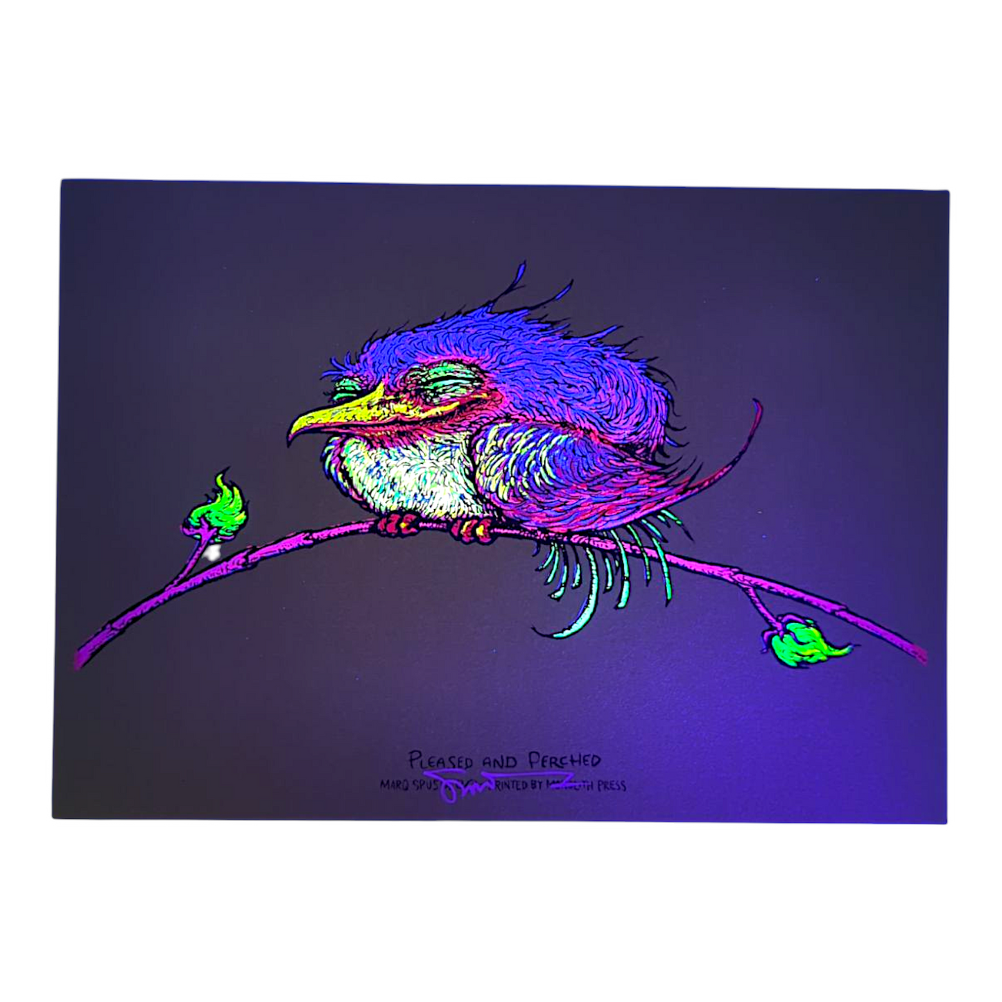 Marq Spusta
Pleased and Perched (Sticky Yellow/Green), 2023
Screen print
7 x 5 in
Signed by the artist