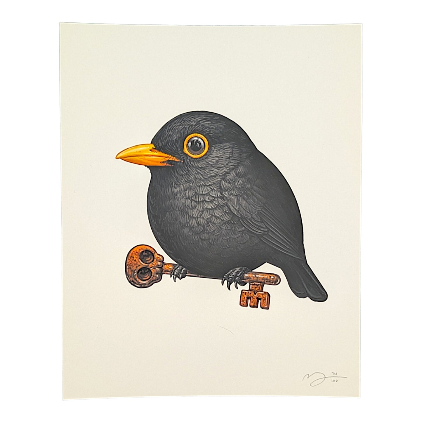 Mike Mitchell Blackbird (Skeleton Key), 2026 Archival Print on Cotton Rag Paper 8 x 10 in Edition of 100 Hand signed + numbered by the artist
