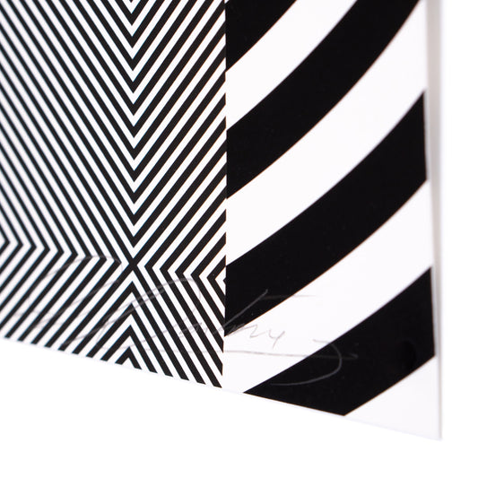 Felipe Pantone "OPTICHROMIE112P" Print