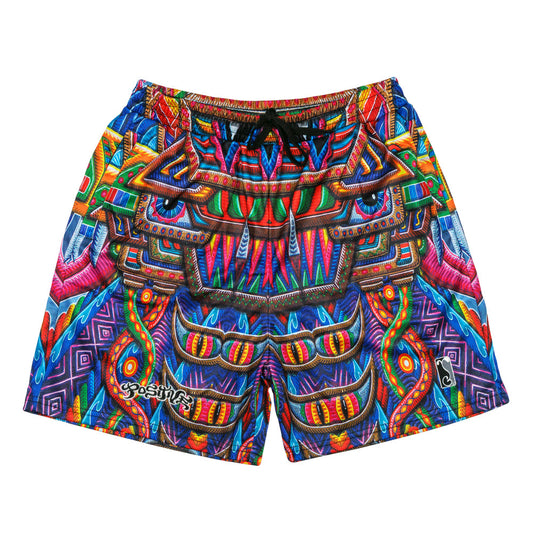 Chris Dyer x Grassroots Freesponsable Rainbow Mesh Shorts