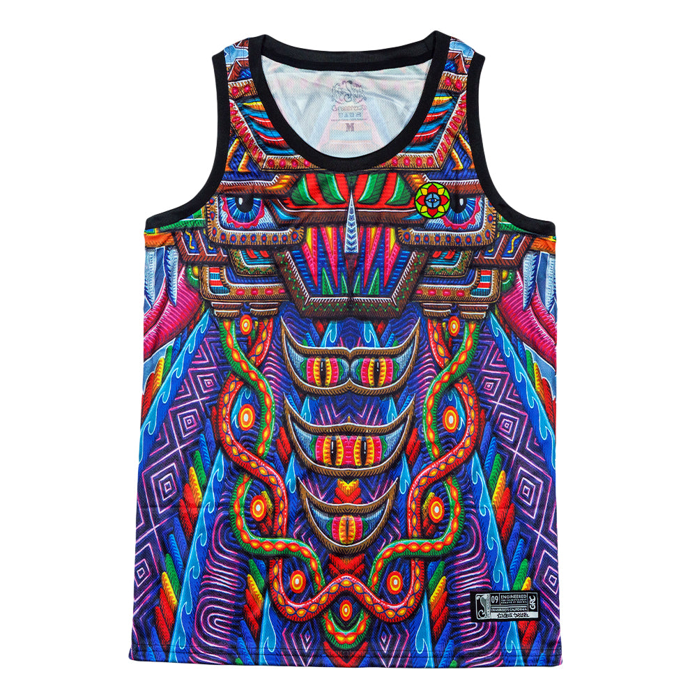 Chris Dyer x Grassroots Freesponsable Rainbow Basketball Jersey