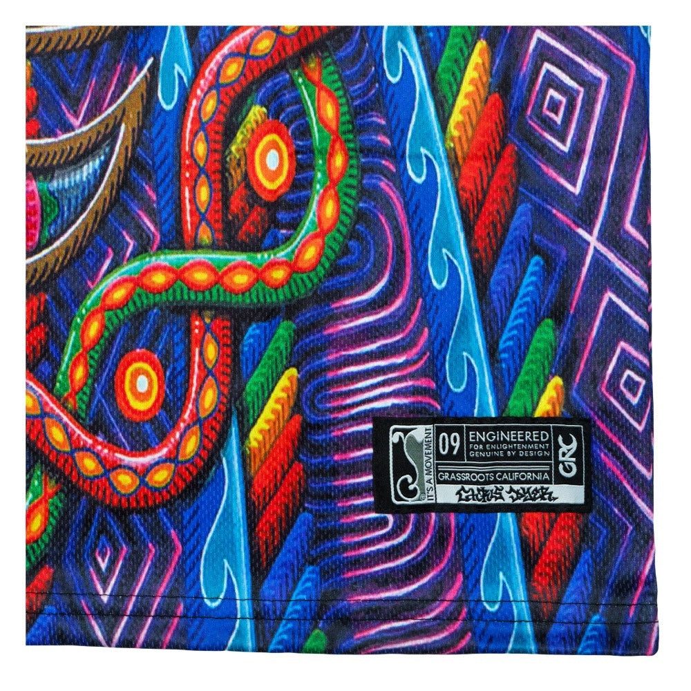 Chris Dyer x Grassroots Freesponsable Rainbow Basketball Jersey