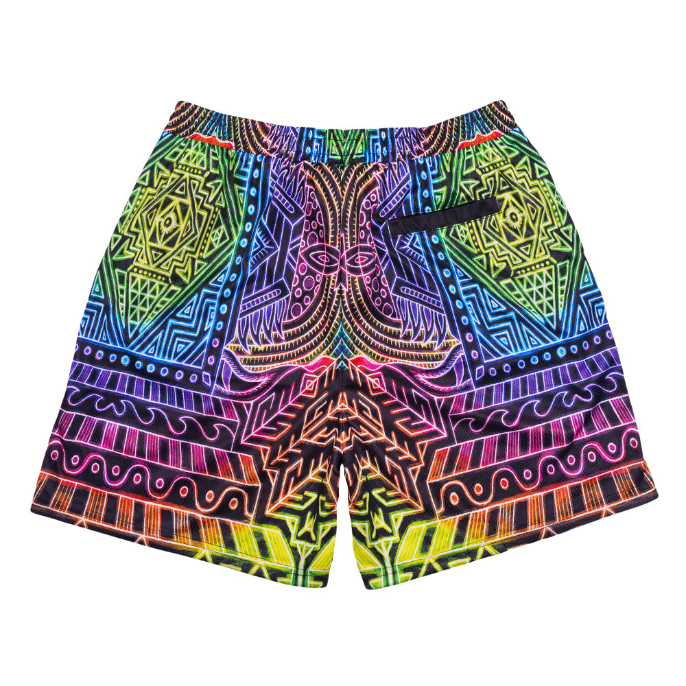 Chris Dyer x Grassroots Heavens Door Rainbow Mesh Shorts