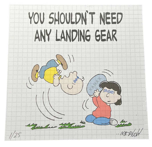 Wookerson “You Shouldn't Need Landing Gear” Blotter Print