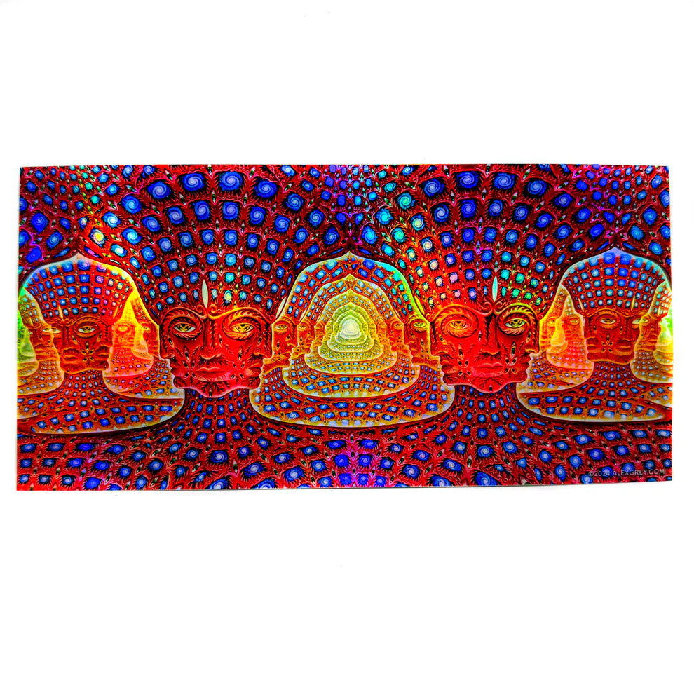 Alex Grey Net of Being Holographic Sticker