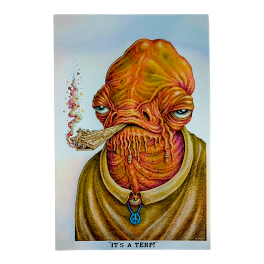 Illustration of a character smoking a pipe with text 'IT'S A TERP!' on a light blue background