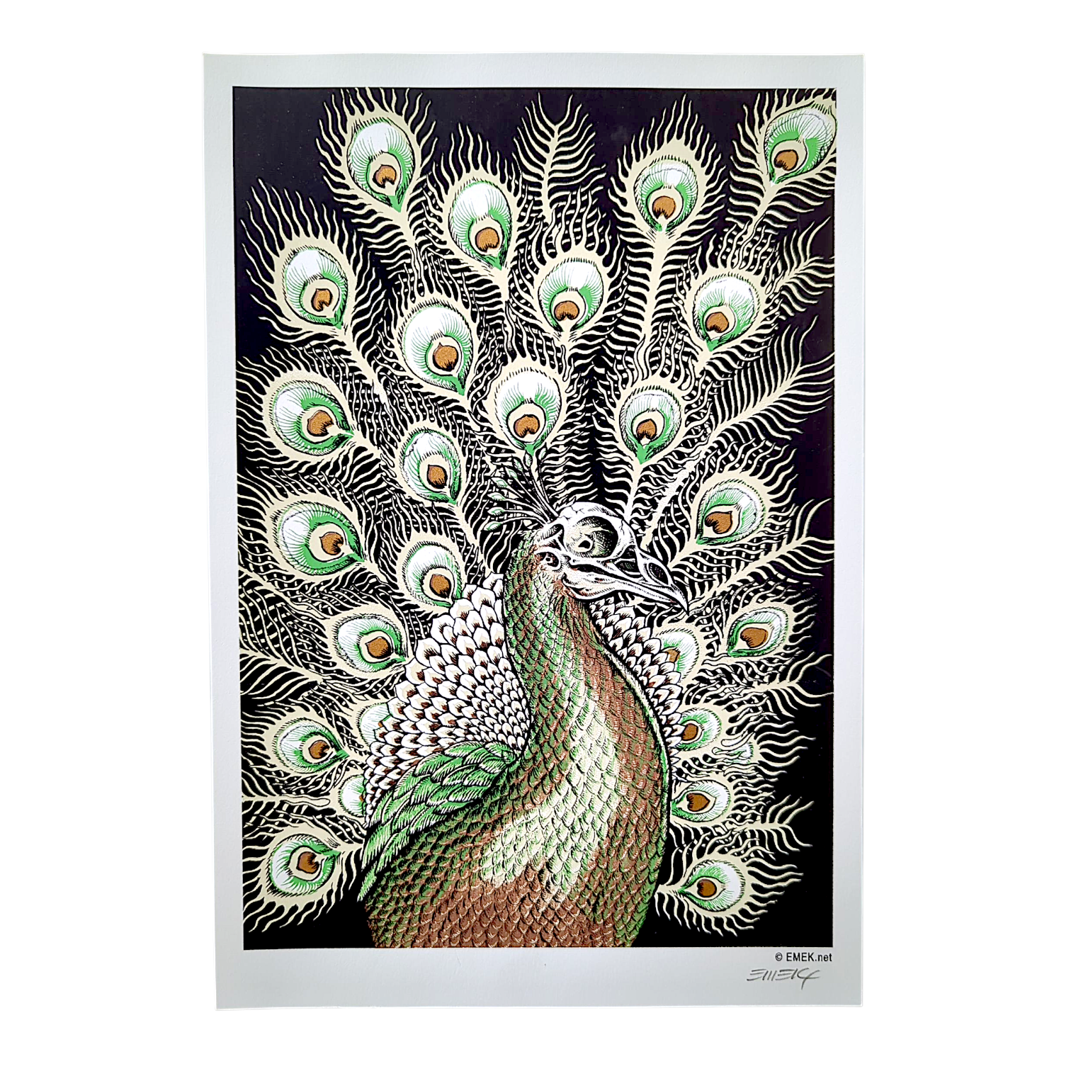 Emek
Peacock, 2005
Screen Print on Archival Paper with Straight Cut Edges
8 x 11.75 in

Hand Signed by the artist