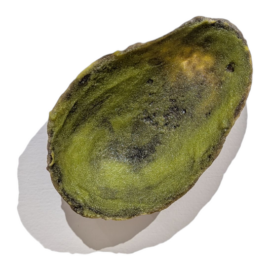 Eriko Kobayashi "Avocado Peel" Sculpture
