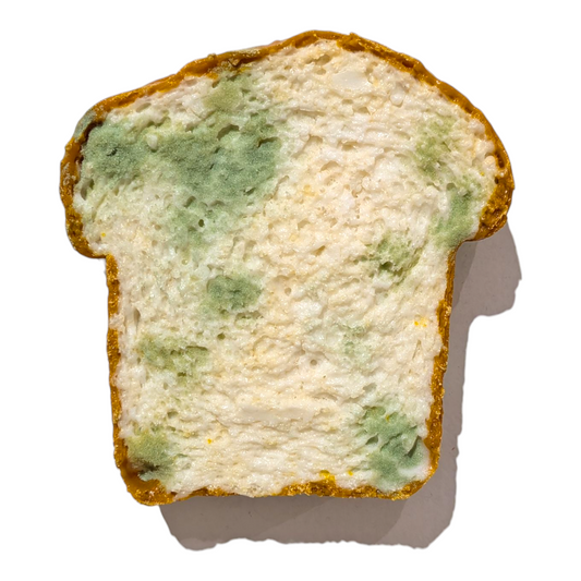 Eriko Kobayashi "Toast (Moldy)" Sculpture
