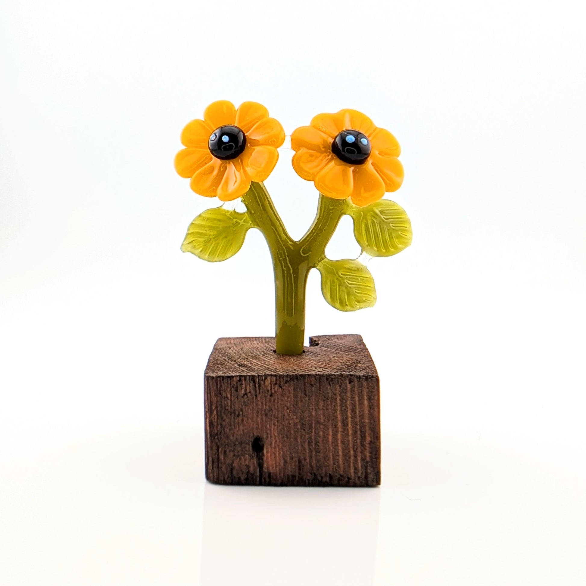 Ethan Windy
Golden Duo, 2024
Glass Sculpture
Approx. 38 x 38 x 82 mm

From Ethan Windy's Giant Flowers Series 