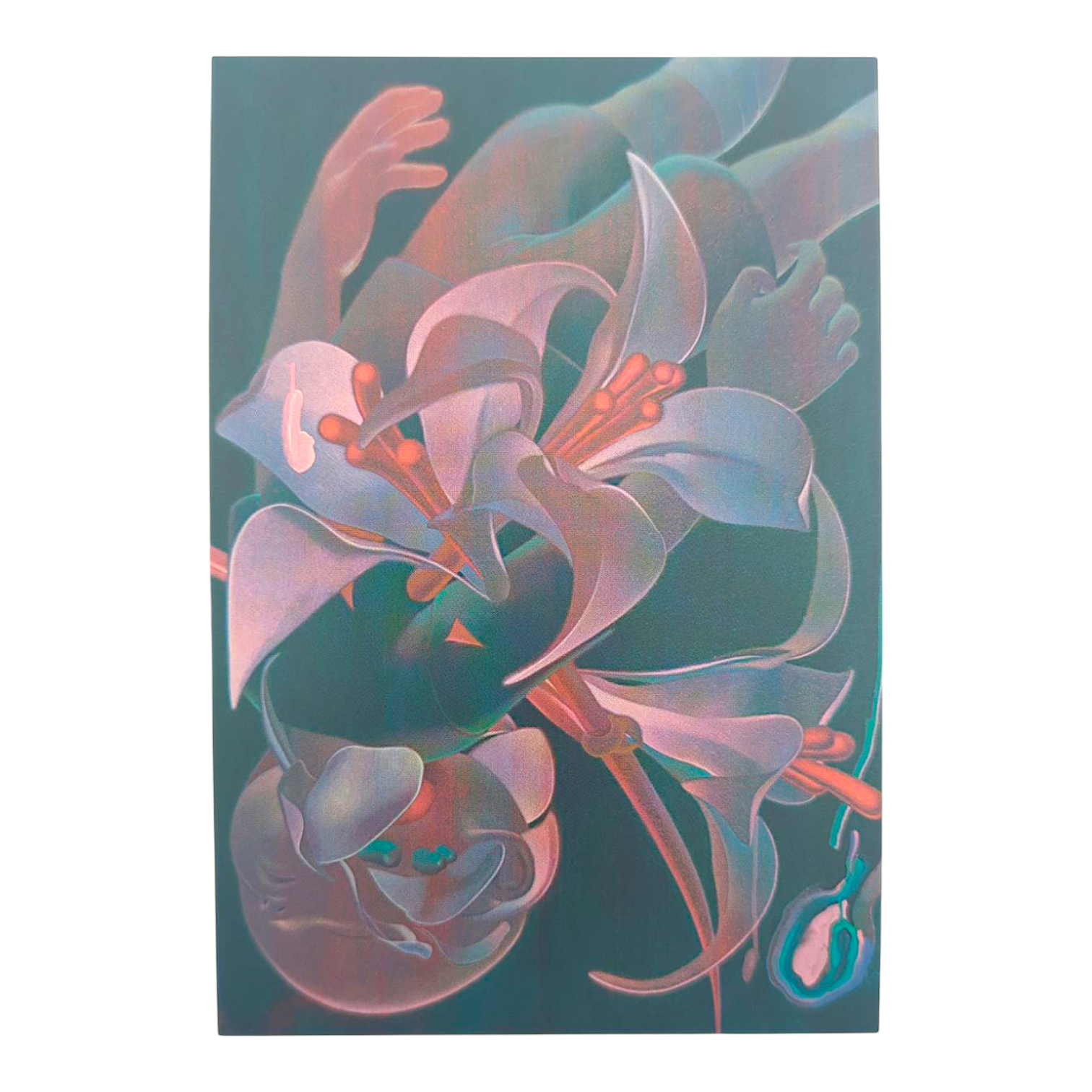 James Jean “Descendent III” Postcard

Offset lithograph on postcard
4 x 6 in
Features a reproduction of James Jean’s "Descendent III" (2021)