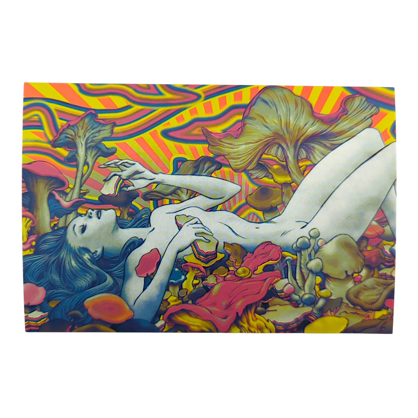 James Jean "OVM Fungi" Postcard