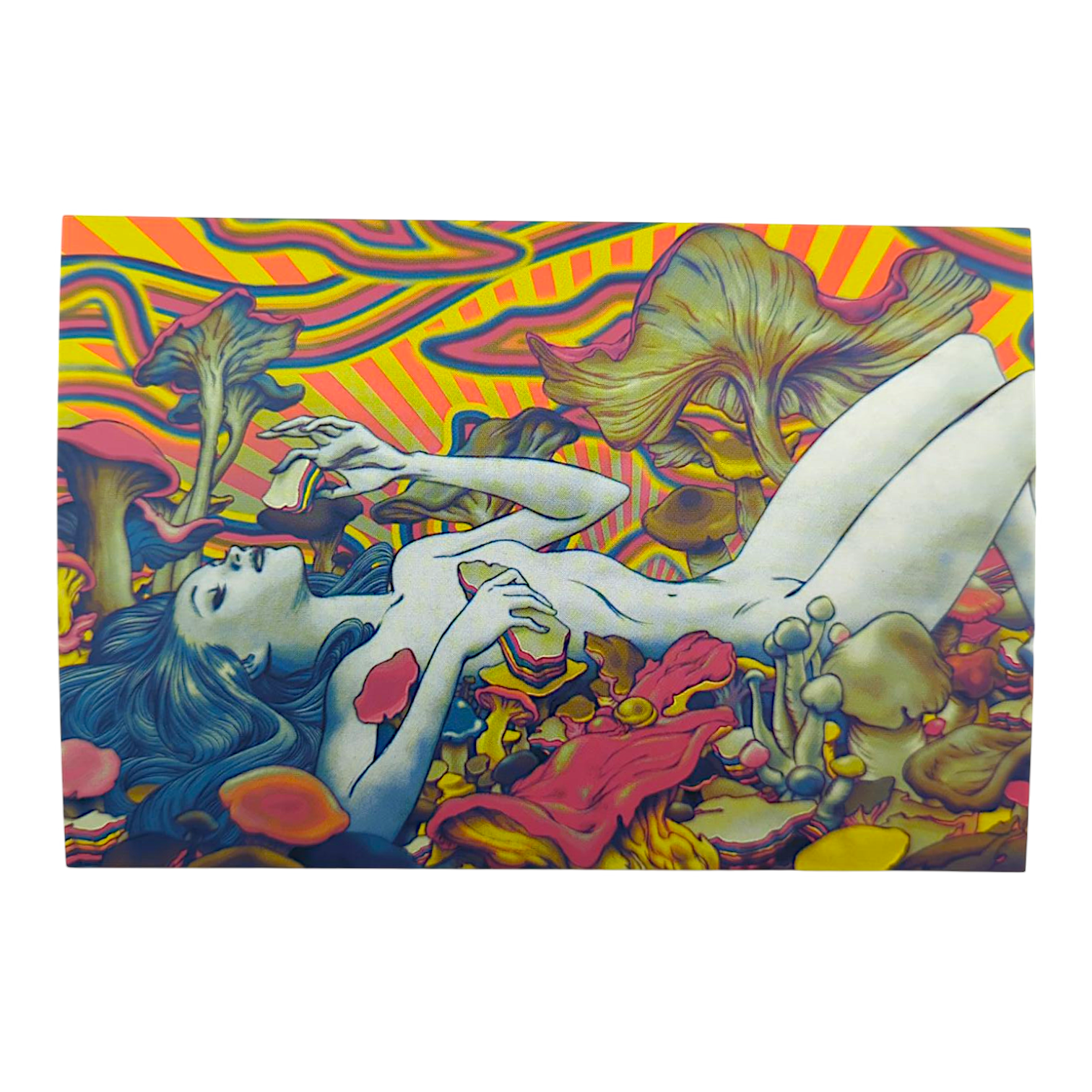 James Jean "OVM Fungi" Postcard