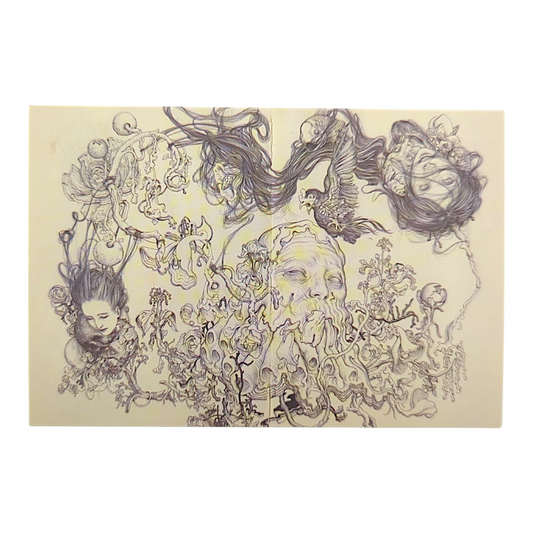 James Jean "Philosopher" Postcard