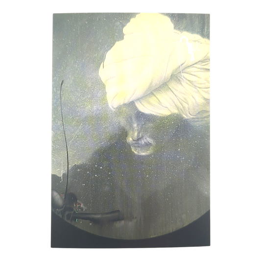 James Jean "Sikh" Postcard