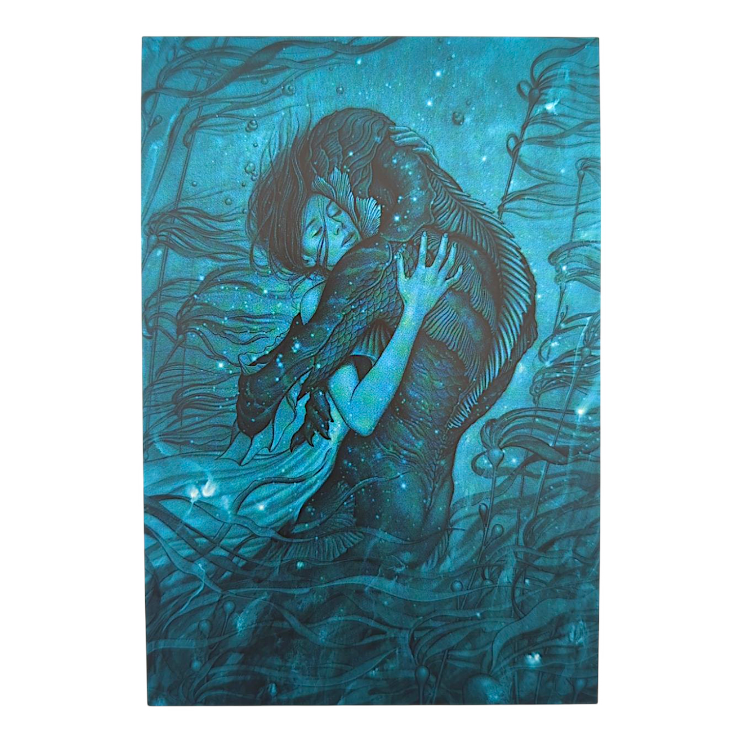 James Jean "The Shape of Water" Postcard