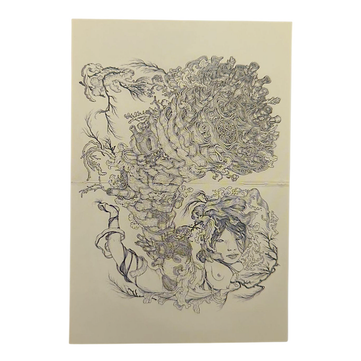 James Jean "Tumor" Postcard