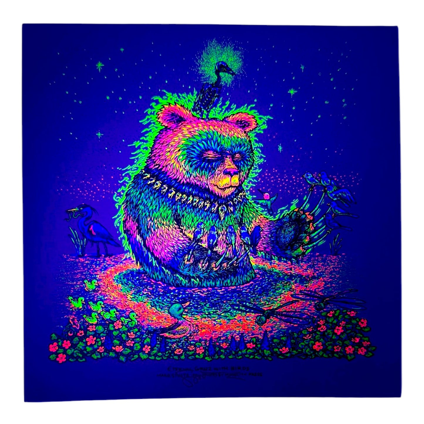 Marq Spusta "Eternal Grizz with Birds" Mini Print