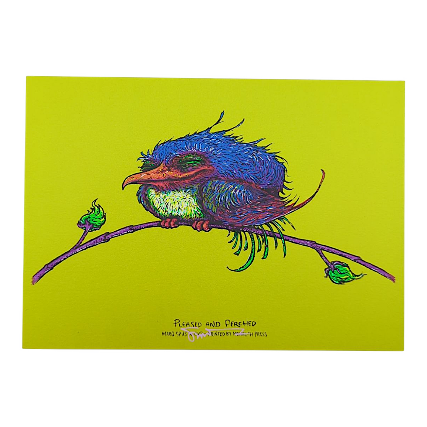 Marq Spusta
Pleased and Perched (Sticky Yellow/Green), 2023
Screen print 
7 x 5 in

Signed by the artist