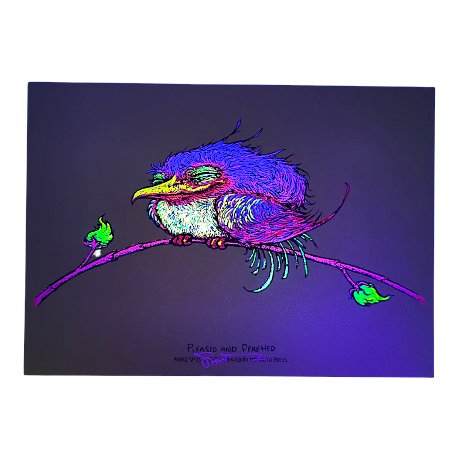 Marq Spusta
Pleased and Perched (Sticky Yellow/Green), 2023
Screen print 
7 x 5 in

Signed by the artist