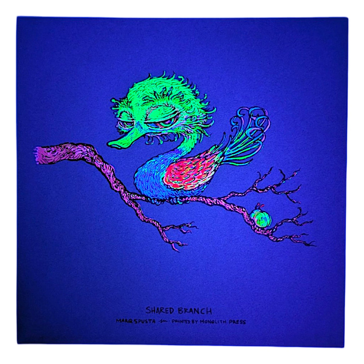 Marq Spusta
Shared Branch (Teal), 2024
Screen print
5 x 5 in

Plate Signed