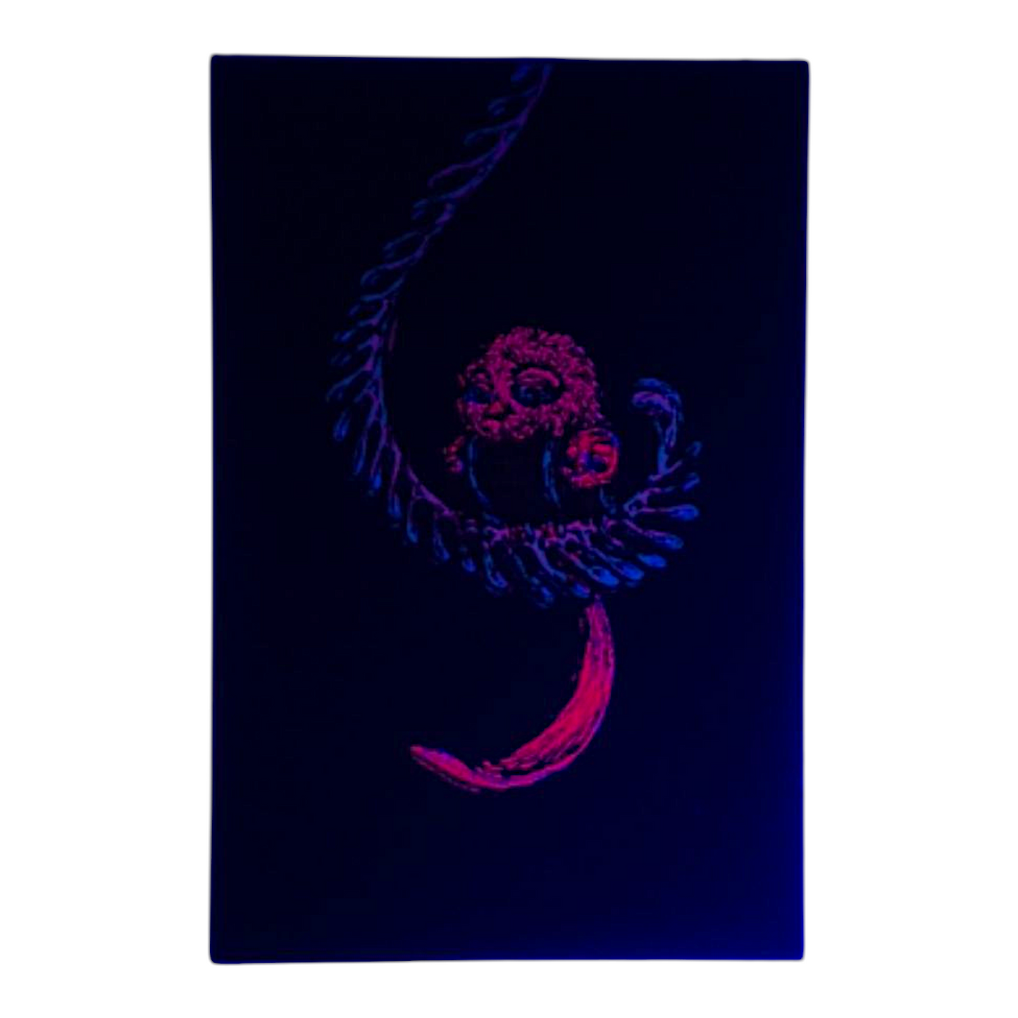 Marq Spusta Some Odd Birds (Black Rubber) Micro Print