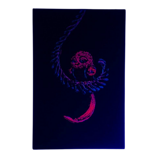 Marq Spusta Some Odd Birds (Black Rubber) Micro Print