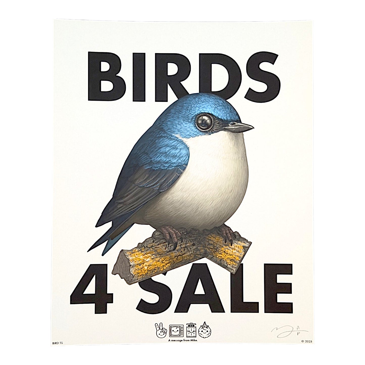 Mike Mitchell Birds 4 Sale Tree Swallow (PSA), 2025 Archival Print on Cotton Rag Paper 8 x 10 in AP Hand signed + numbered by the artist