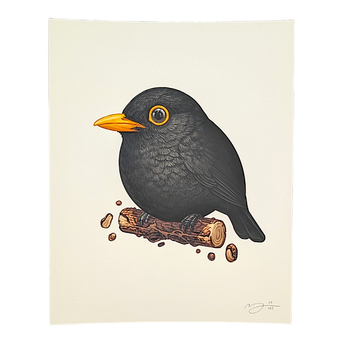 Mike Mitchell Blackbird (Wood), 2026 Archival Print on Cotton Rag Paper 8 x 10 in Edition of 125 Hand signed + numbered by the artist