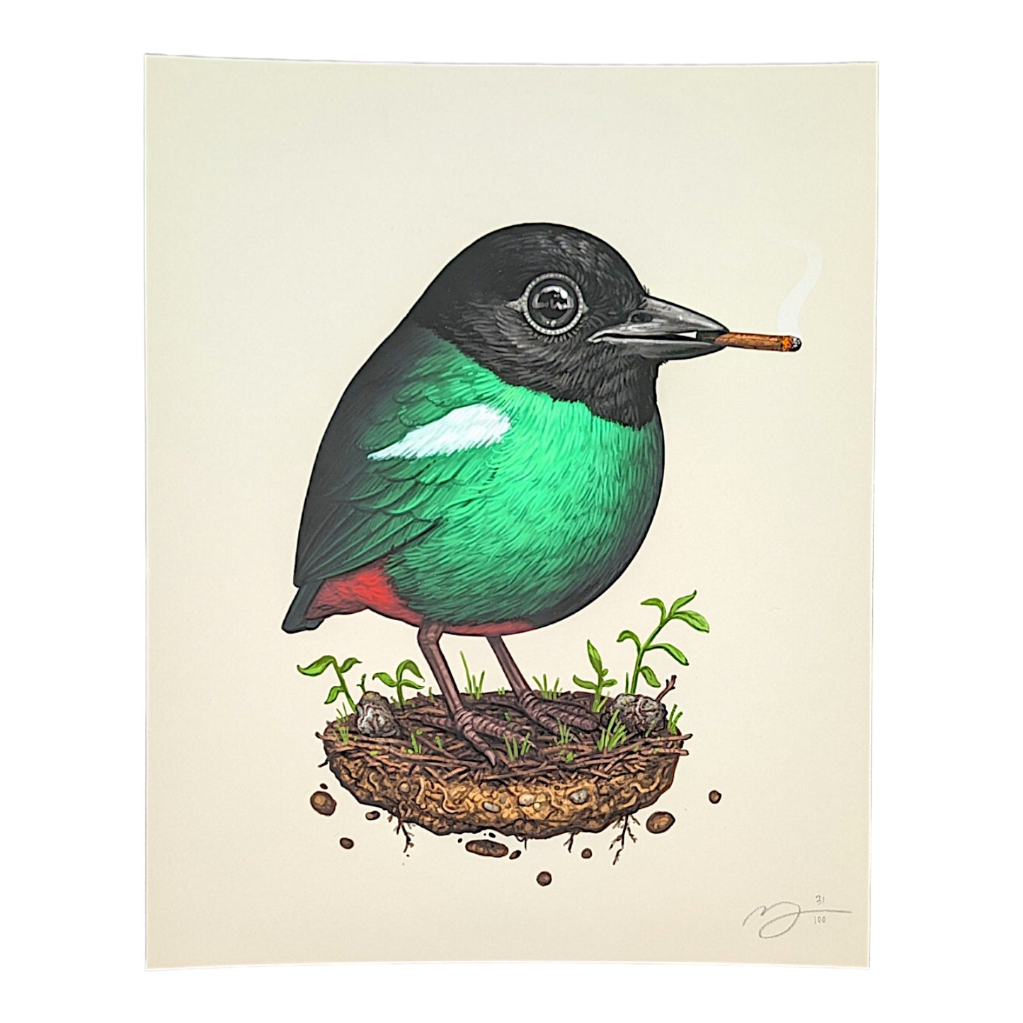 Mike Mitchell Emerald Tanager, 2024 Archival Print on Cotton Rag Paper 8 x 10 in Edition of 420 Hand signed + numbered by the artist