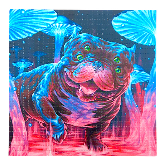 The Swartz Brothers 
Puddles the Dog, 2025
Archival Pigment Print on Perforated Blotter Paper 
7.5 x 7.5 in 
Edition of 100 

Hand signed + numbered by the artists. Perforated and published by Zane Kesey in Pleasant Hill, OR. 